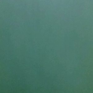 Meet your Posher, Caydence